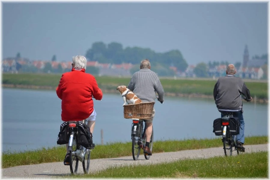 FUN AND EXCITING ACTIVITIES FOR THE ELDERLY