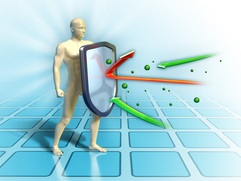 What to Look for in Immune-Support Supplements