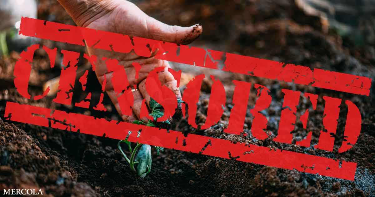 Facebook Labels Canning and Gardening Groups as Too Prepared