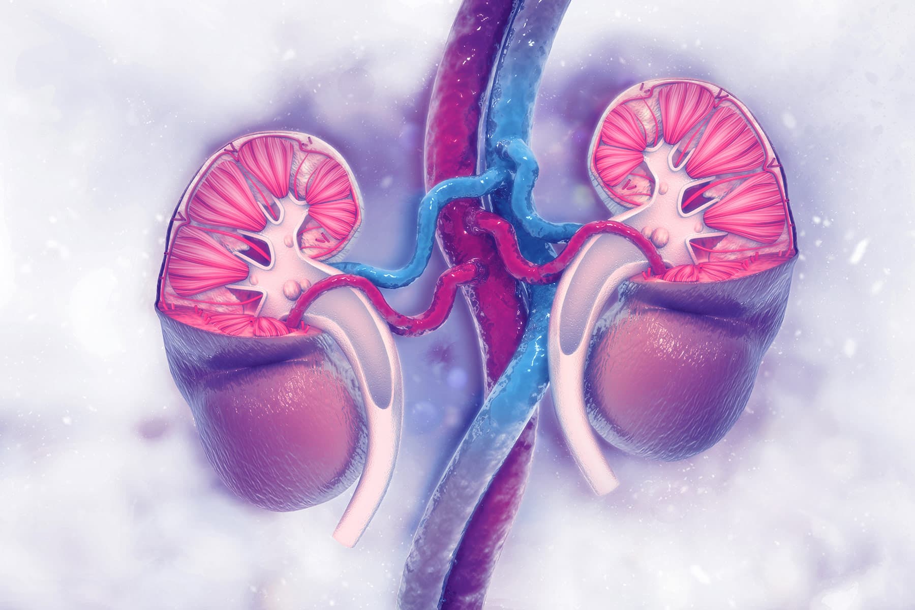 Kidney Damage Another Consequence of 'Long COVID'