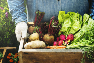 The Science and Benefits of Consuming Locally Seasonal Produce 