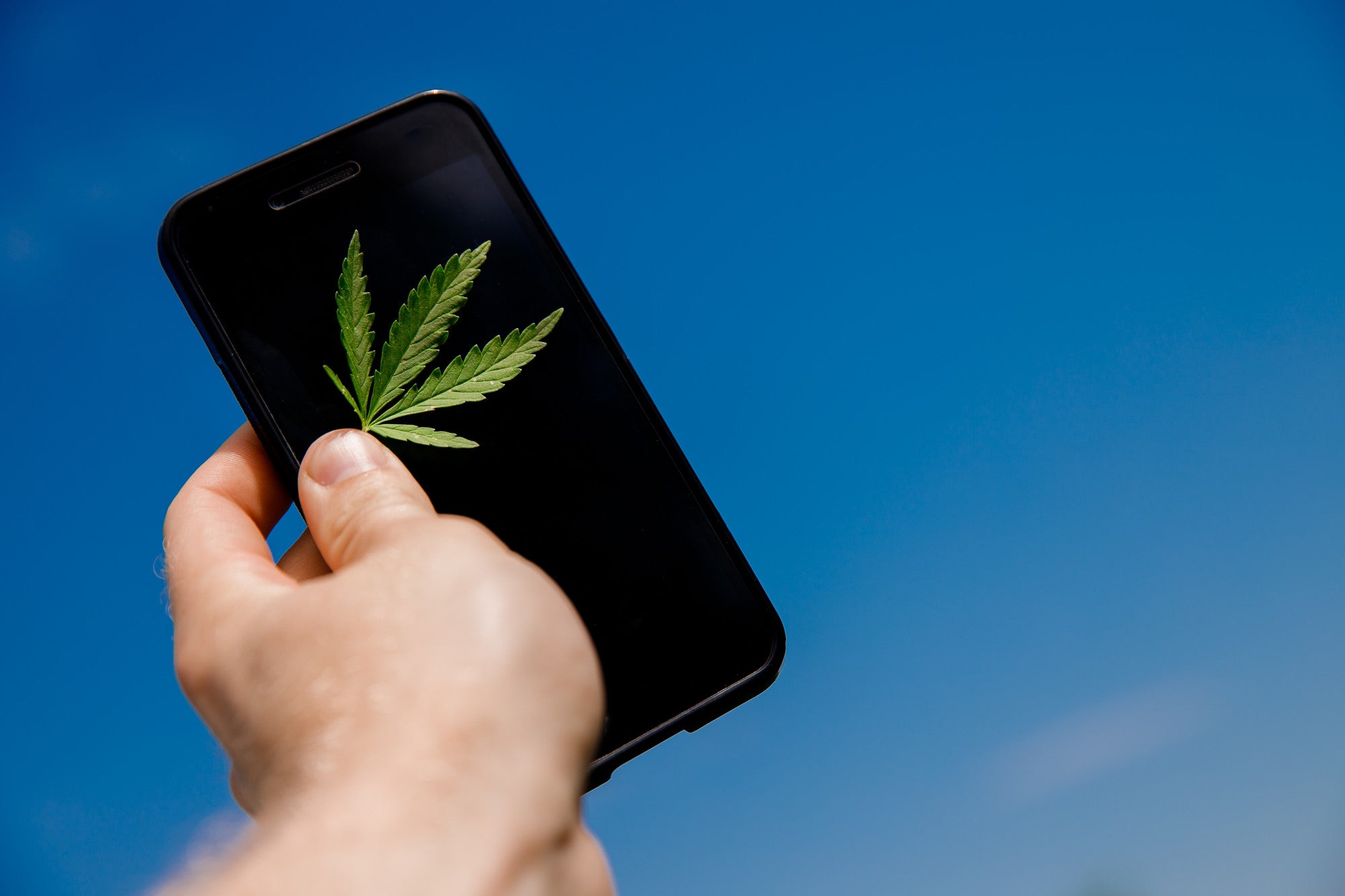 5 Tips on Safely Buying Cannabis Online for New Users